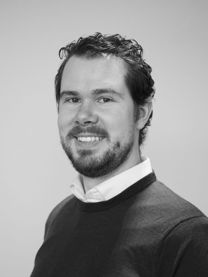 Erik Horgmo, Senior advisor